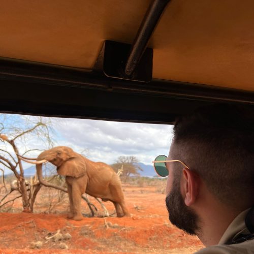 Lo tsavo este 05