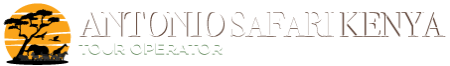 logo_white logo_white