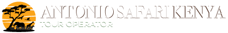 logo_white logo_white