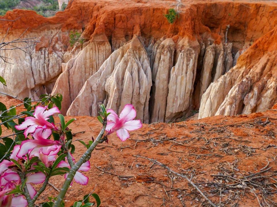 Gran canyon marafa 03