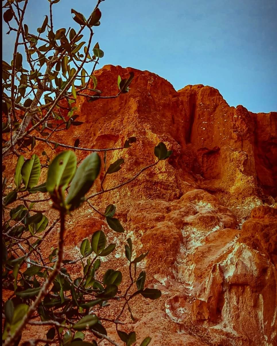 Marafra Gran Canyon 08